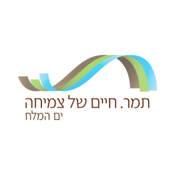 תמר